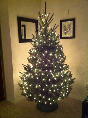 Real Xmas Tree With Lights 1 Diolifestyle Real Xmas Tree With Lights 1