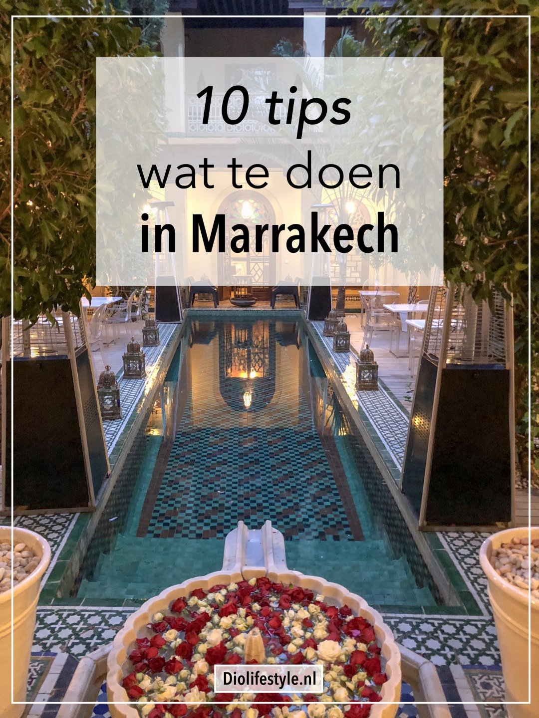 10 tips wat te doen in Marrakech • Diolifestyle