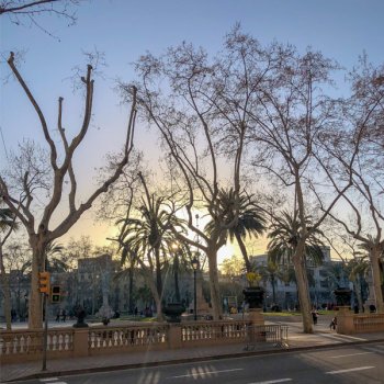 5 dingen die ik mis in Barcelona