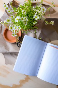 Minder scrollen, meer leven: digitale gewoontes veranderen