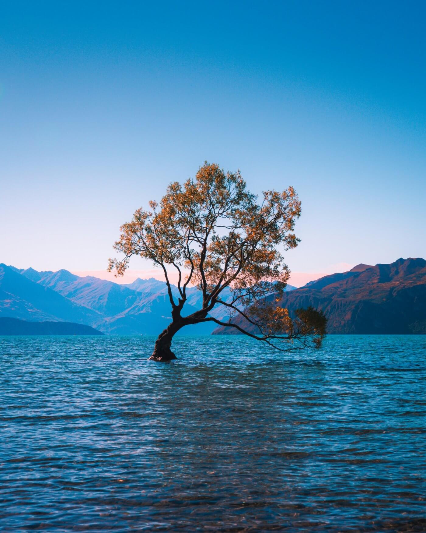 Mindfulness: de impact op je dagelijks leven