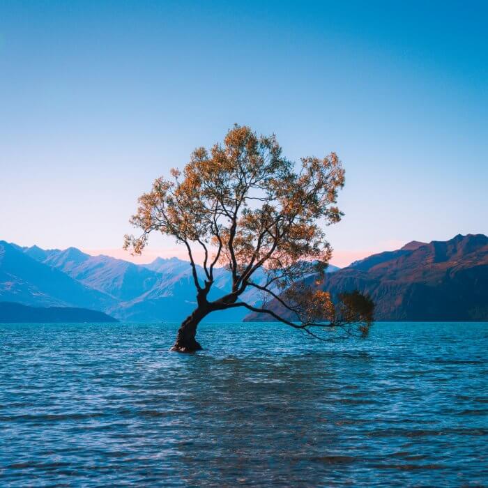 Mindfulness: de impact op je dagelijks leven