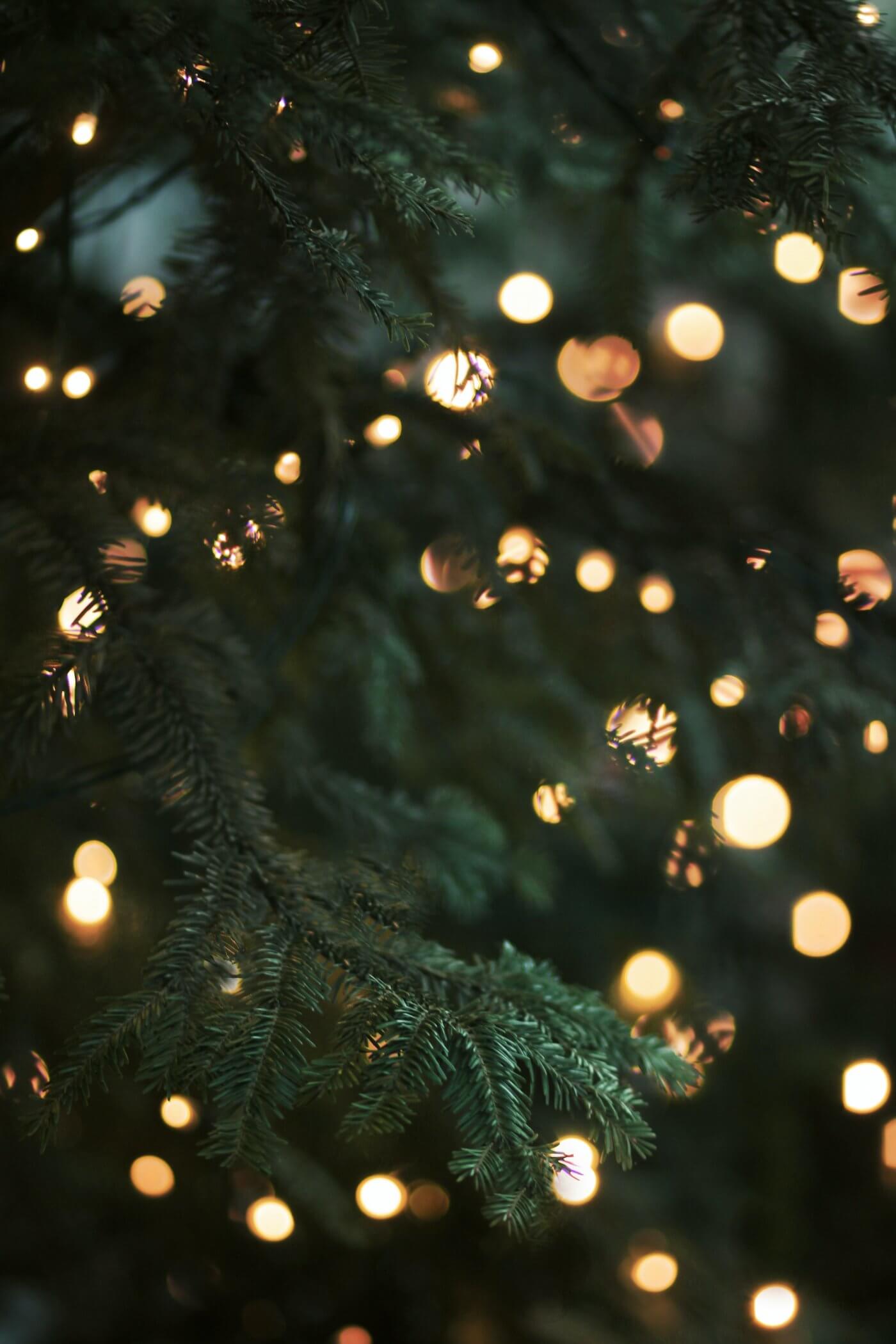 Hoe ziet jouw kerstboom er dit jaar uit?