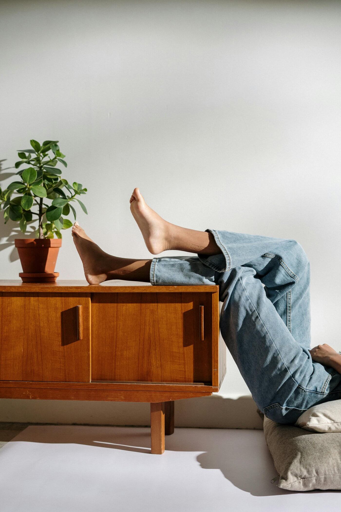 Groen in huis: welke planten passen bij een rustige, minimalistische stijl