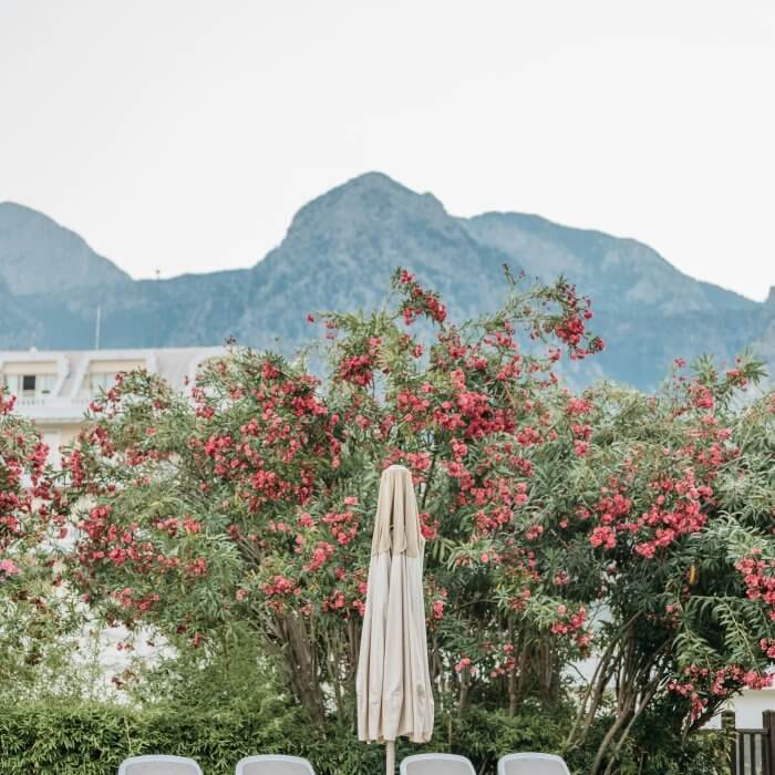 Staycation inspiratie in Nederland: verborgen parels dichtbij